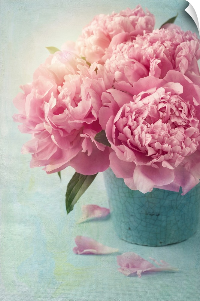 Peony flowers in a vase.