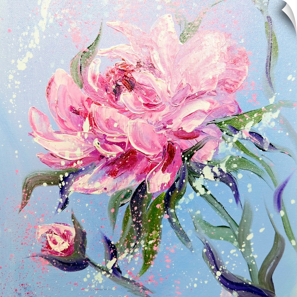 Pink Peony Flowers