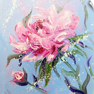 Pink Peony Flowers