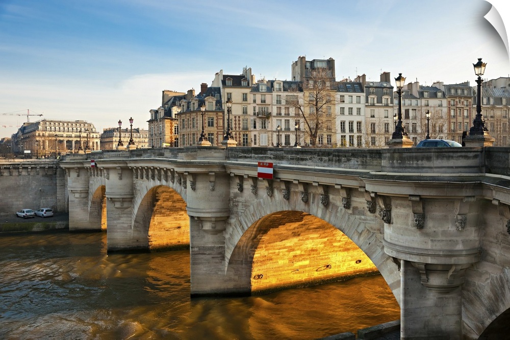 Pont Neuf, Ile de la cite, Paris, France.