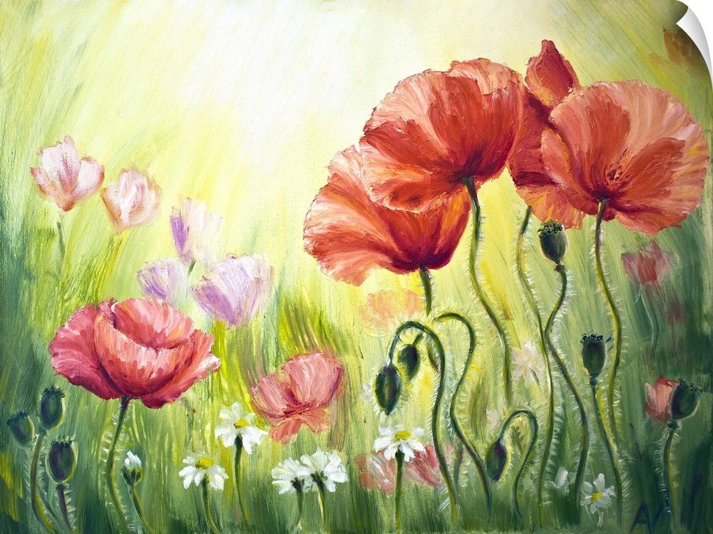 Poppies in the morning, originally an oil painting on canvas.