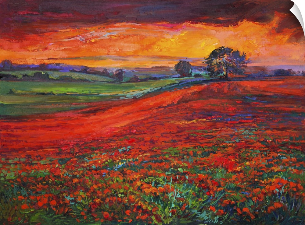 Originally an oil painting of opium poppy (Papaver Somniferum) field in front of beautiful sunset on canvas. Modern impres...