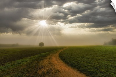 Rural Landscape, Foggy Sunrise With Sunbeams Breaking Through Clouds