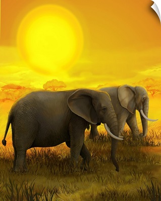 Safari, Elephants