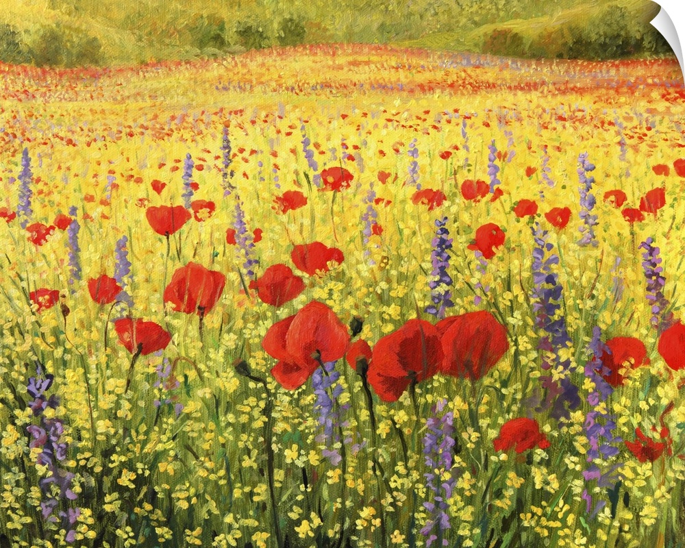 A colorful field with poppies.