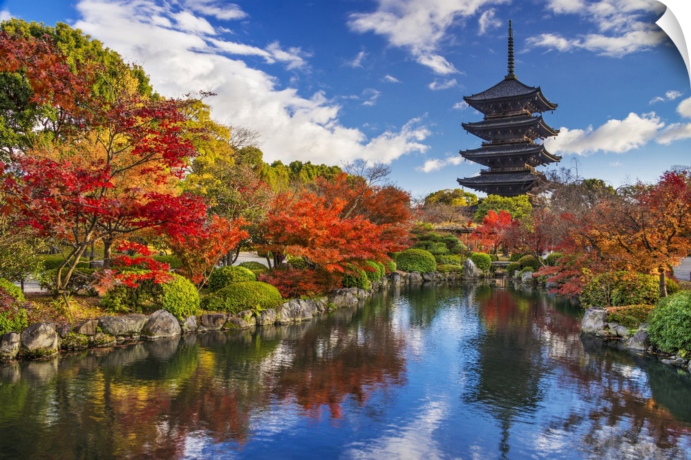 To-ji pagoda in Kyoto, Japan during the fall season.