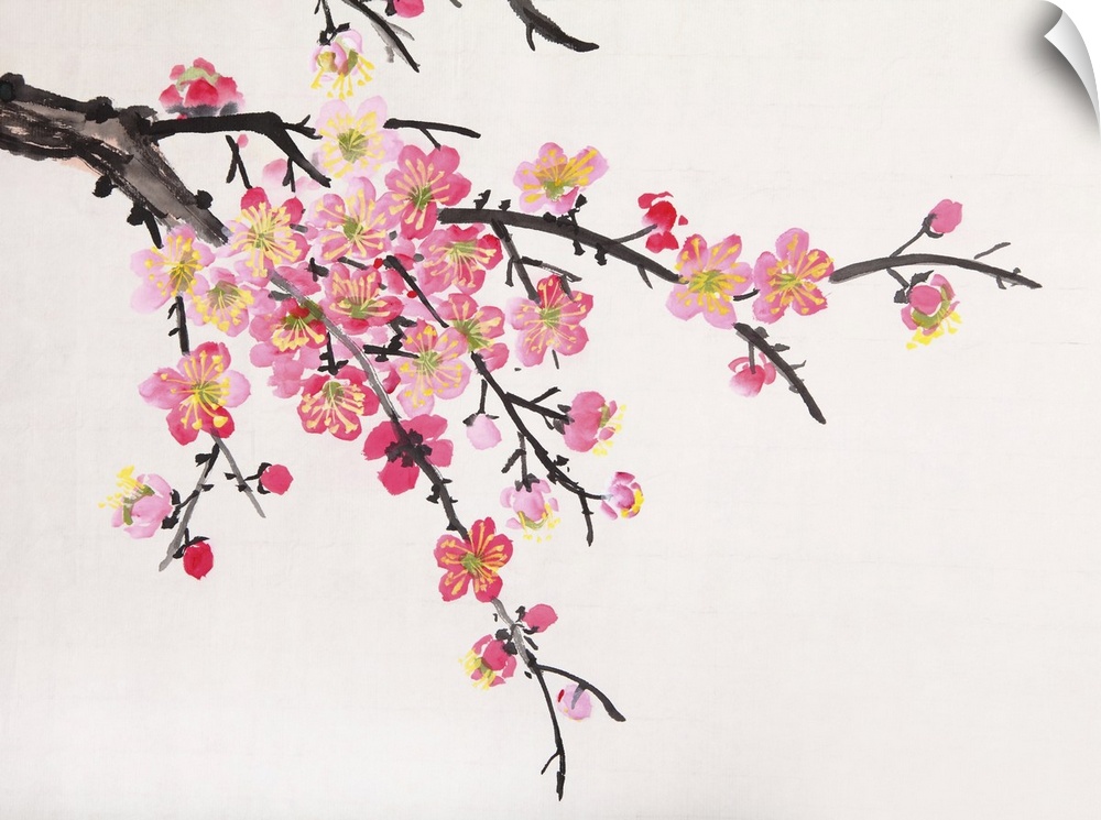 Traditional Chinese painting of flowers, close-up of plum blossoms on a white background.