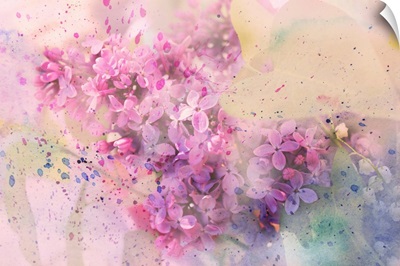 Twig Of Lilac Flowers And Watercolor Splashes