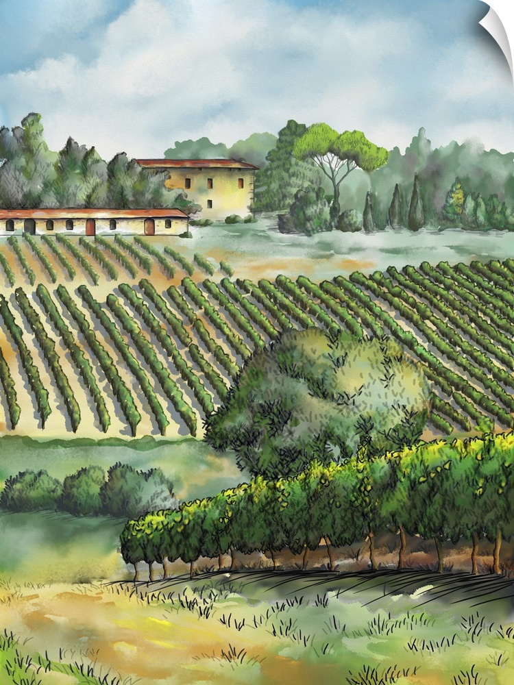 Beautiful vineyards landscape. Originally a digital watercolor.