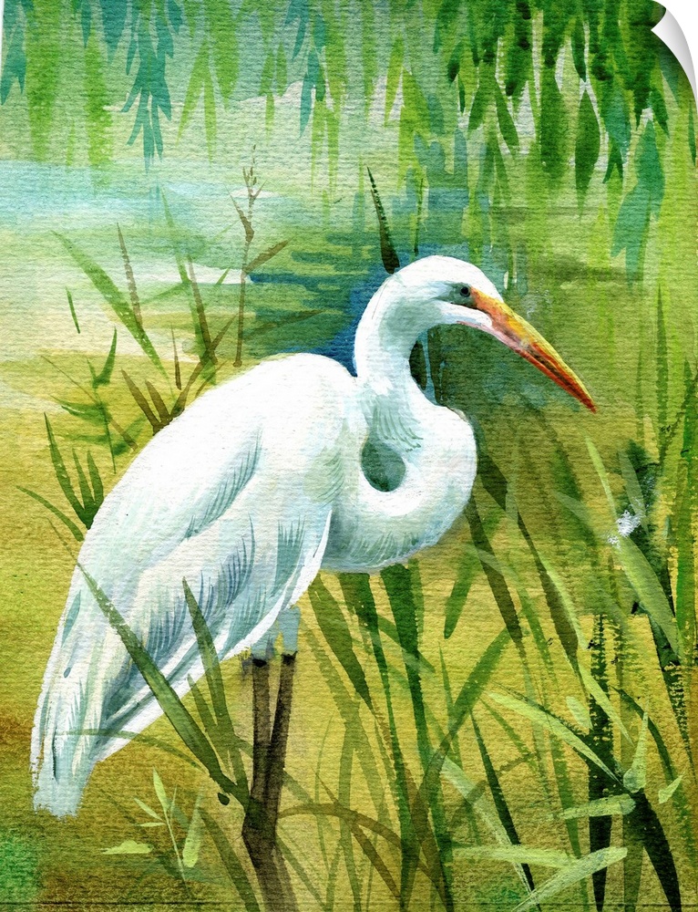 Watercolor heron in water.