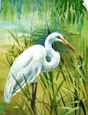 Watercolor Heron In Water
