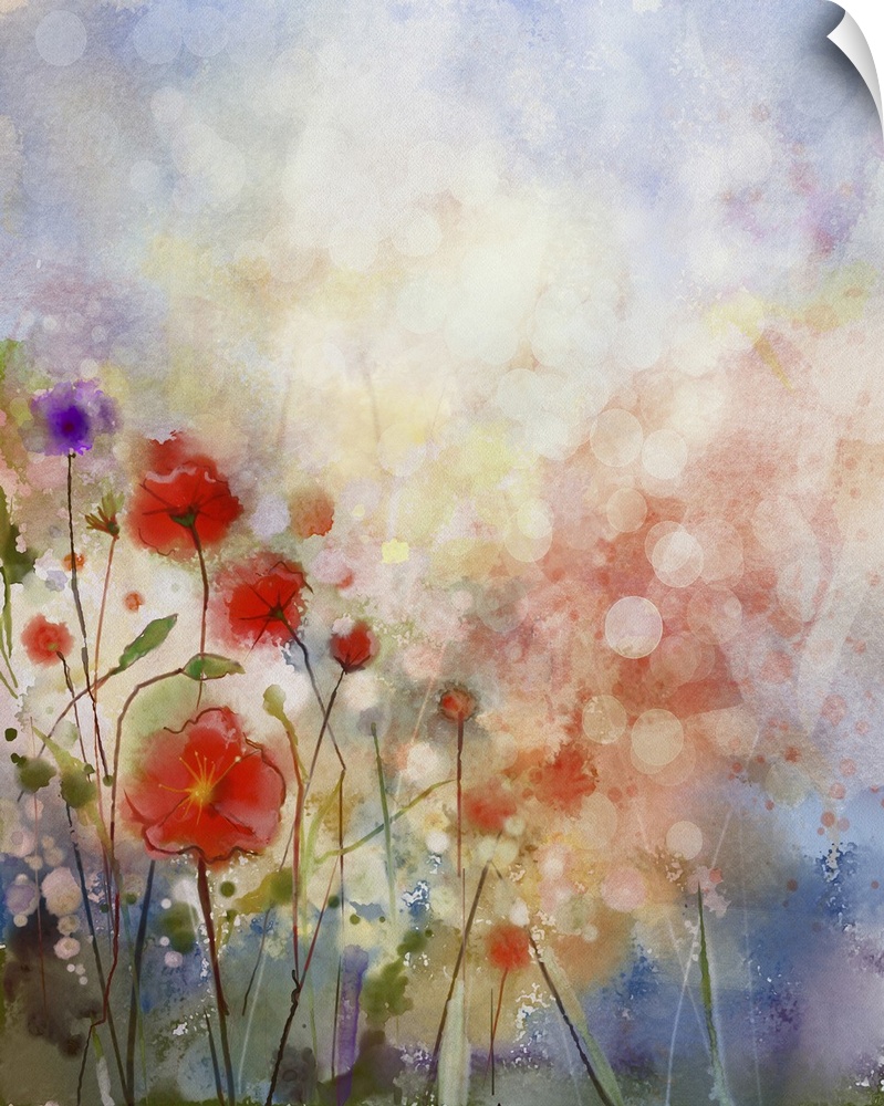 Originally a watercolor painting of red poppy flowers. Flowers in soft color and blur style. Spring floral seasonal nature...