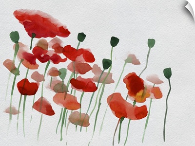 Watercolor Poppies