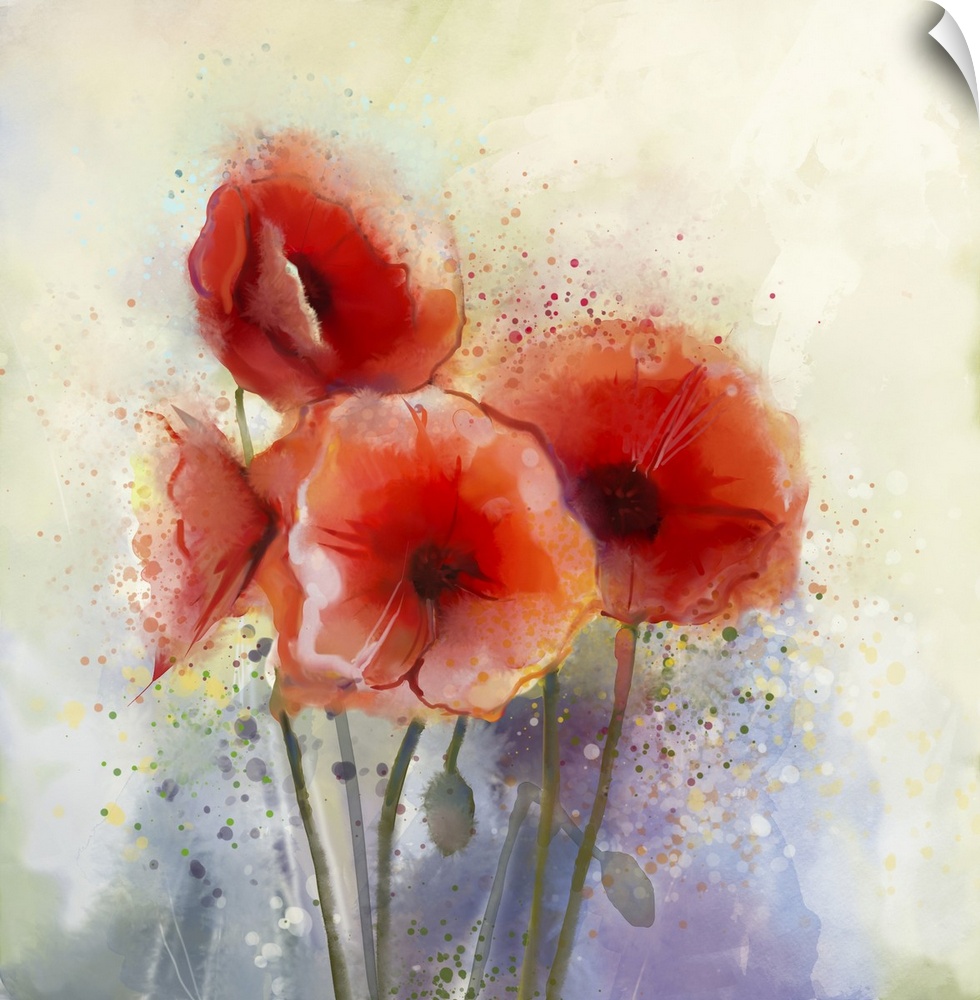Originally a watercolor red poppy flowers painting. Flowers in soft color and blur style for background. Vintage painting ...