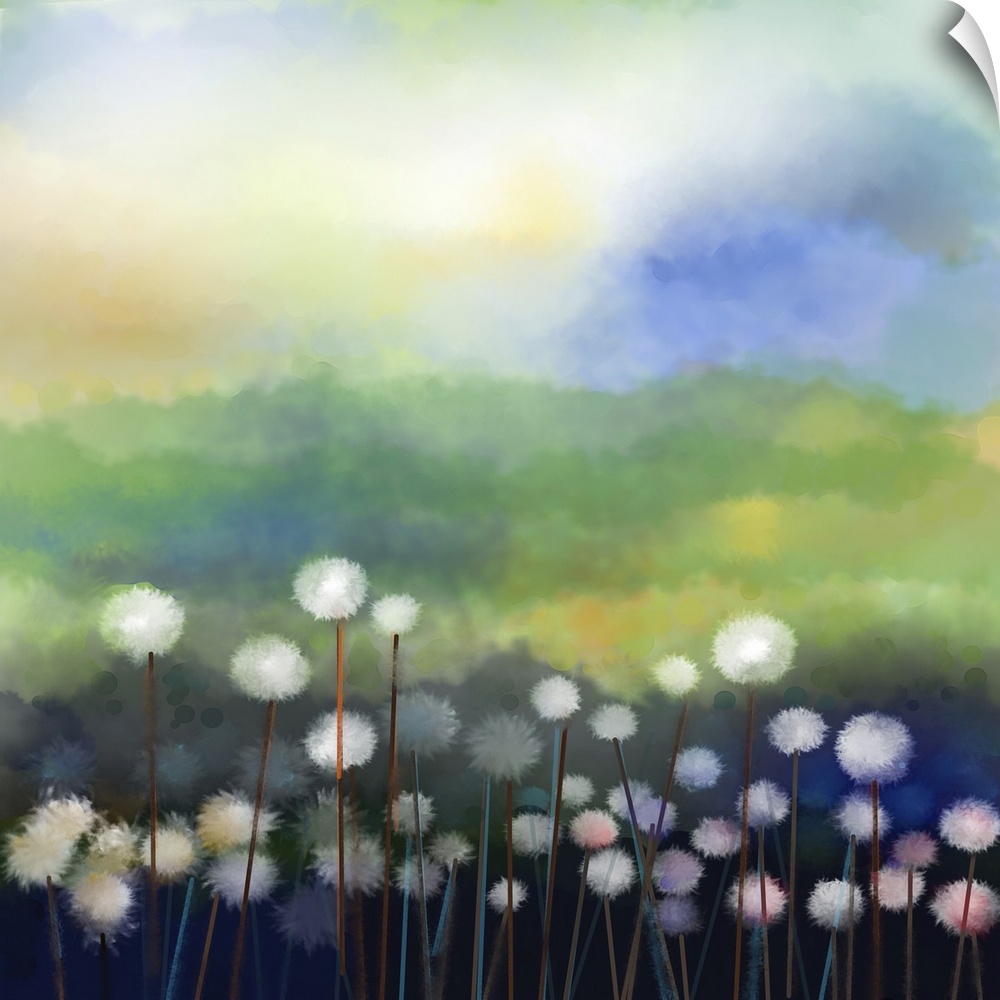 Originally an abstract oil painting of white flowers field in soft color. Originally oil painting of a white dandelion flo...