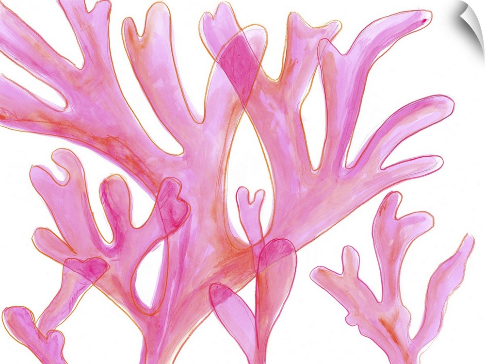 Contemporary artwork of light pink sea kelp with a translucent effect.