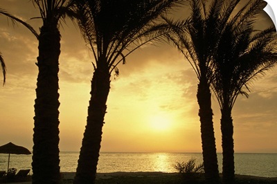 Africa, Egypt, Red Sea, Marsa Alam, beach