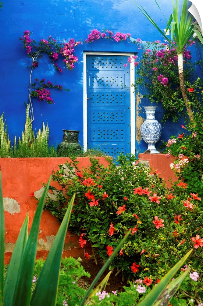 Morocco, Al-Magreb, Morocco, Essaouira, Dar Mimosas Hotel, garden