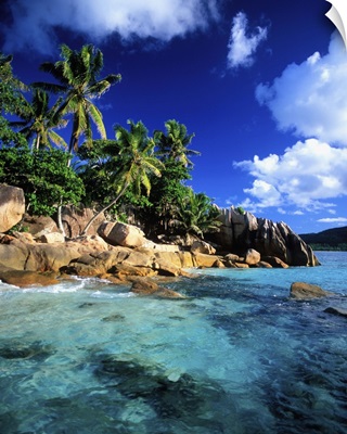 Africa, Seychelles, St Pierre Island