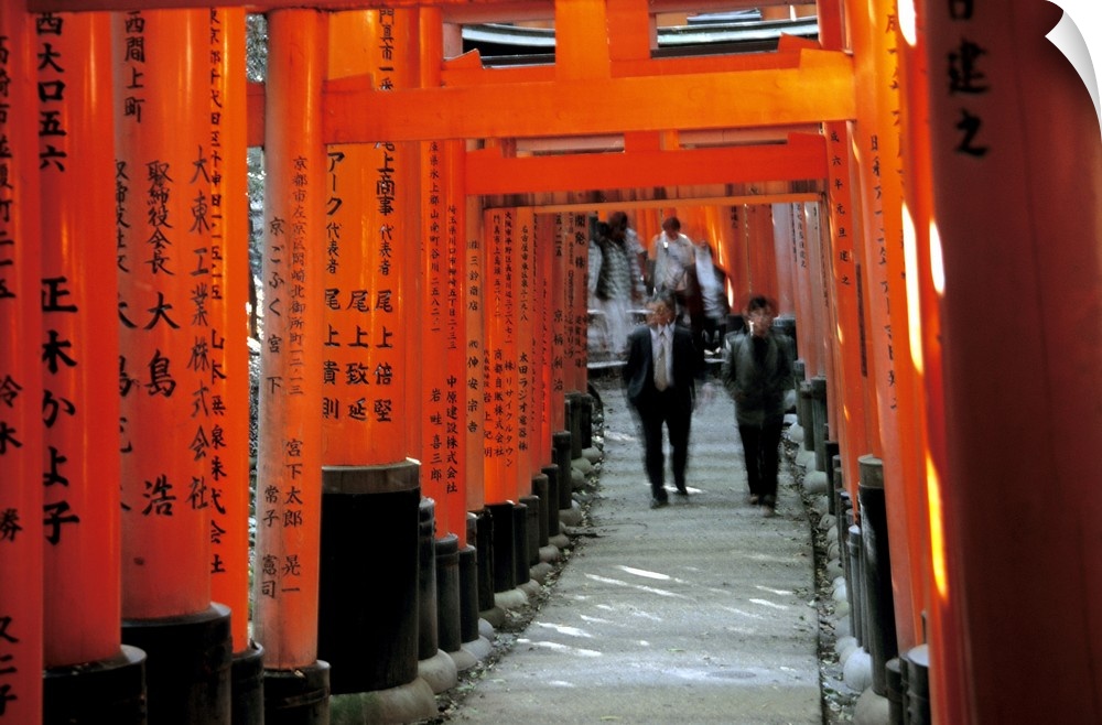 Asia, Japan, Kyoto, Fushimi Inari Shrine, row of torii gates