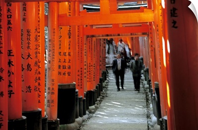 Asia, Japan, Kyoto, Fushimi Inari Shrine, row of torii gates