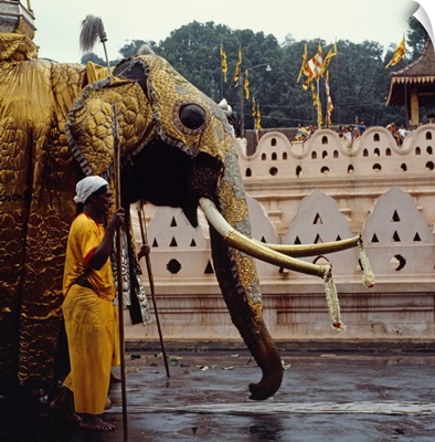 Asia, Sri Lanka, Kandy, Esala Perahera celebration