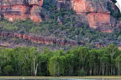Australia, Northern Territory, Kakadu National Park
