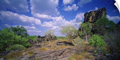 Australia, Northern Territory, Kakadu NP, Ubirr, ancient Aboriginal rock art sites