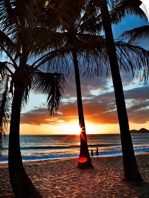 Australia, Queensland, Oceania, Cairns, Sunrise on Ellis Beach