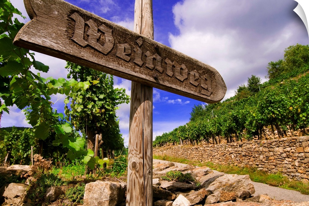 Austria, Lower Austria, Wachau, Vineyards and wine path sign