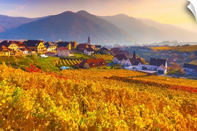 Austria, Lower Austria, Wachau, Weibenkirchen In Der Wachau, Vineyards In Autumn