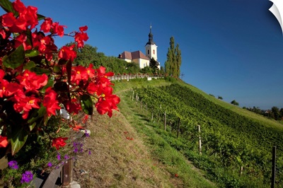 Austria, Styria, Central Europe, Kitzeck im Sausal, Sausaler wine road