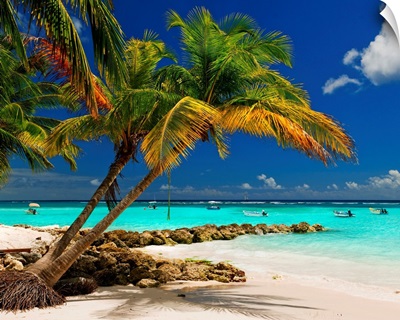 Barbados, Caribbean, Whorthing beach