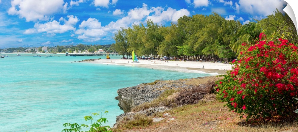 Barbados, Tropics, Antilles, Lesser Antilles, Windward Islands, Caribbean, West Indies, Oistins, Enterprise Beach with lif...