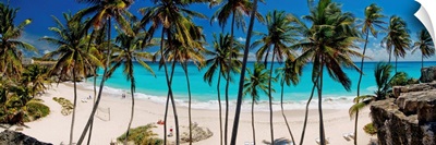 Barbados, Saint Philip, Caribbean, Bottom Bay