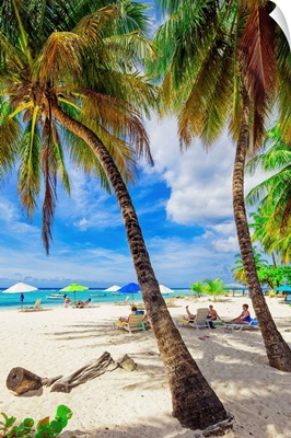 Barbados, West Indies, Worthing Beach, locally known as Sandy Beach