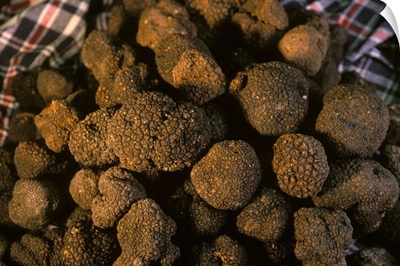 Black truffles by Poddi Farm