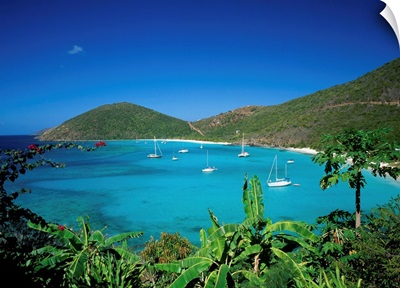 British Virgin Islands, Jost Van Dyke Island, White Bay and papaia