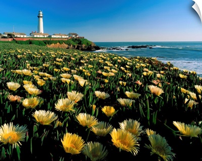 California, Pigeon Point, lighthouse with meadow in foreground