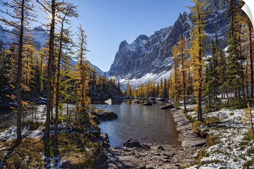 Canada, British Columbia, Lake O'Hara area, Yoho National Park, Rocky Mountains.