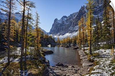 Canada, British Columbia, Lake O'hara Area, Yoho National Park, Rocky Mountains