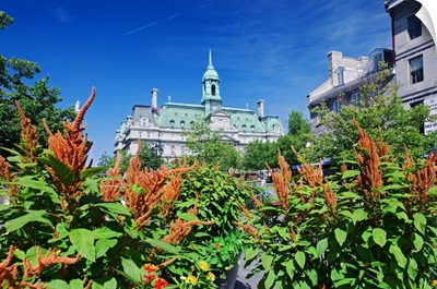 Canada, Quebec, Montreal, Hotel de Ville in Place Jacques-Cartier, Vieux-Montreal
