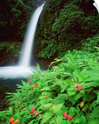Central America, Costa Rica, Tropics, La Paz waterfalls