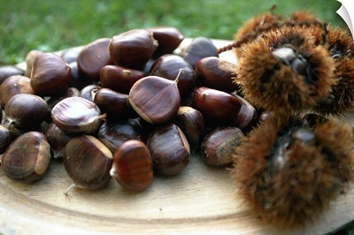 Chestnut from Treiso d'Alba