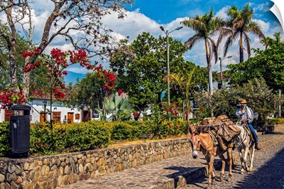 Colombia, Santa Fe de Antioquia, typical scene