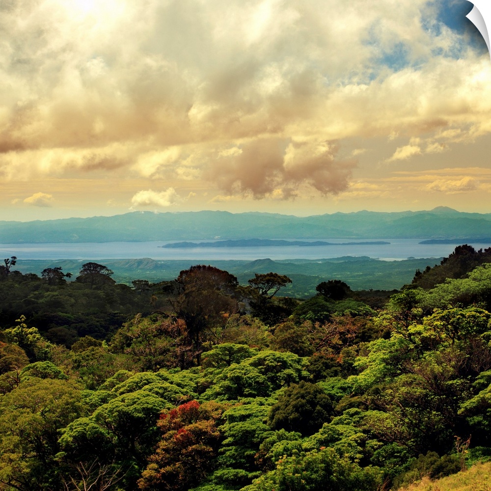 Costa Rica, Alajuela, Monteverde, Monteverde Costa Rica Cloud Forest, Monteverde Cloud Forest Preserve, Landscape of the p...
