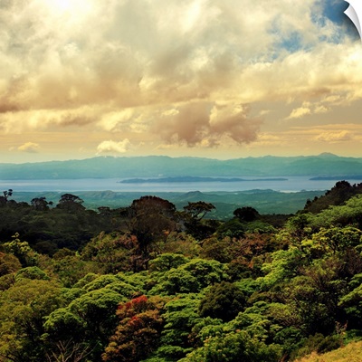 Costa Rica, Alajuela, Monteverde Costa Rica Cloud Forest