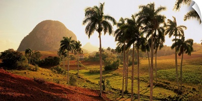 Cuba, Vinales, landscape