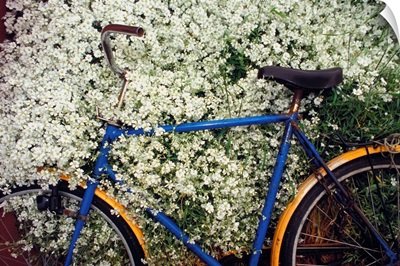Denmark, Bornholm island, bicycle