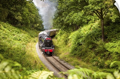 England, North York Moors National Park, North Yorkshire, Steam train